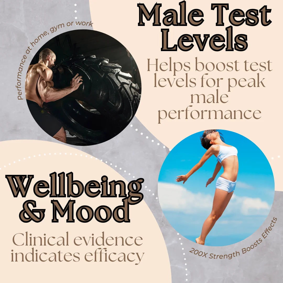 Longjack Tongkat Ali Extract Capsules 200X Strength | 200,000 Mg